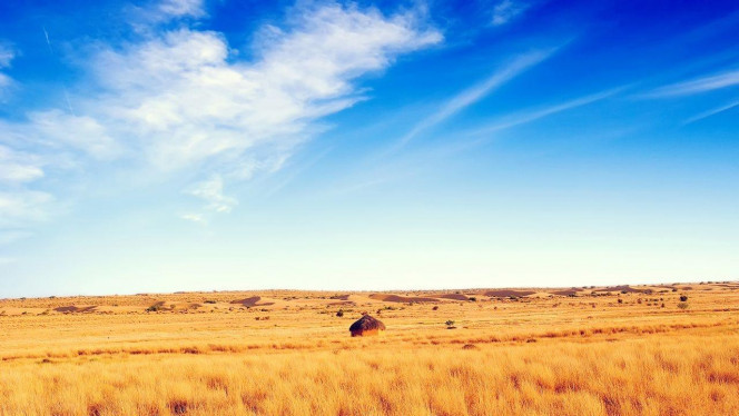 一张美味的图片 &middot; #3488