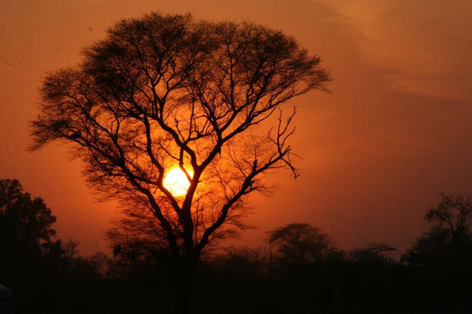 一张美味的图片 &middot; #1492