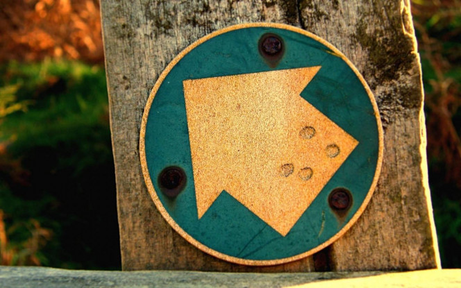 一张美味的图片 &middot; #1245