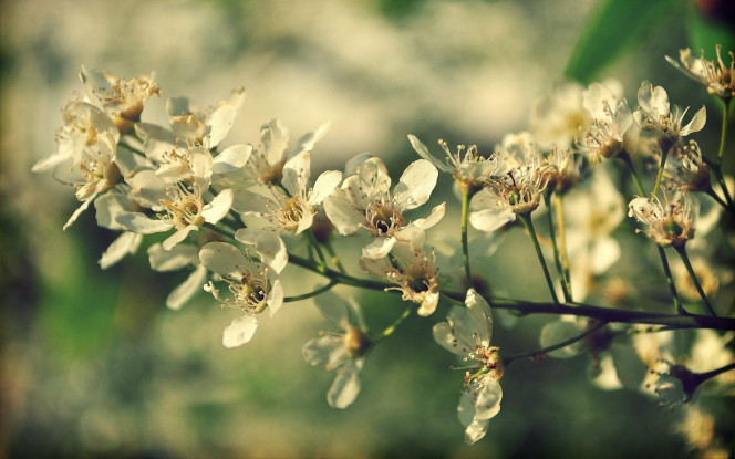 一张美味的图片 &middot; #1456