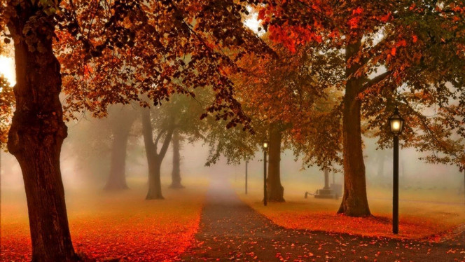 一张美味的图片 &middot; #4403