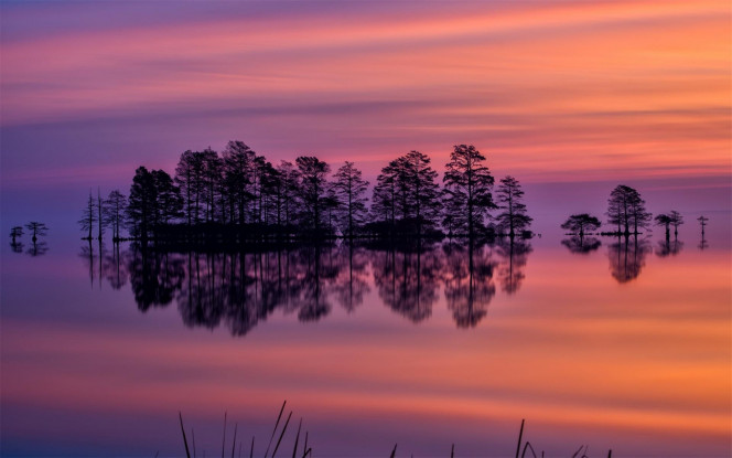 一张美味的图片 &middot; #4010