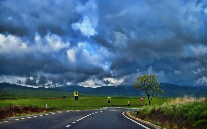 一张美味的图片 &middot; #1157