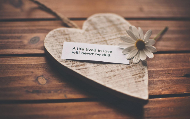 一张美味的图片 &middot; #1093