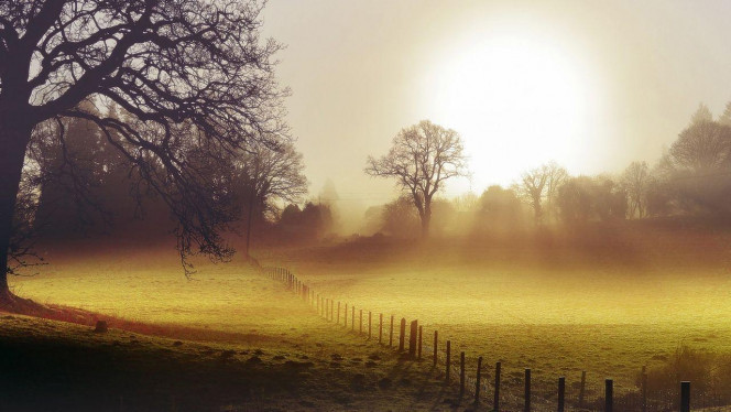 一张美味的图片 &middot; #3152