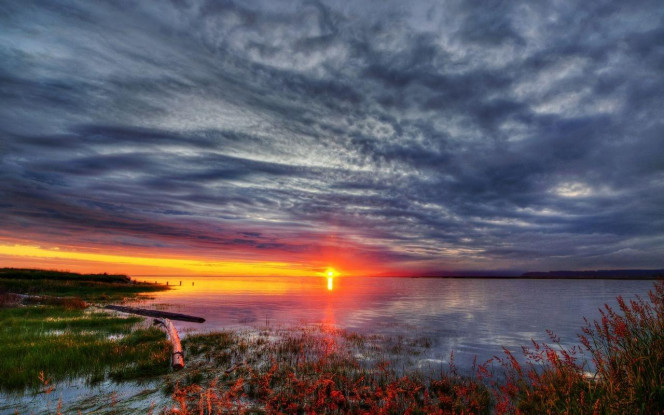 一张美味的图片 &middot; #1858