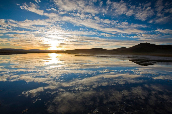 一张美味的图片 &middot; #3826