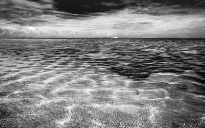 一张美味的图片 &middot; #2124