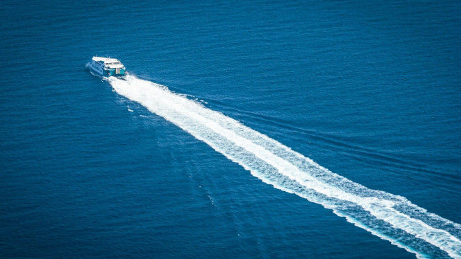 一张美味的图片 &middot; #1956