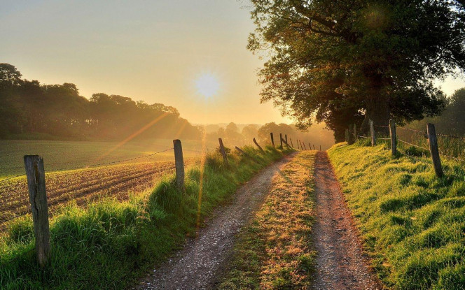 一张美味的图片 &middot; #4003