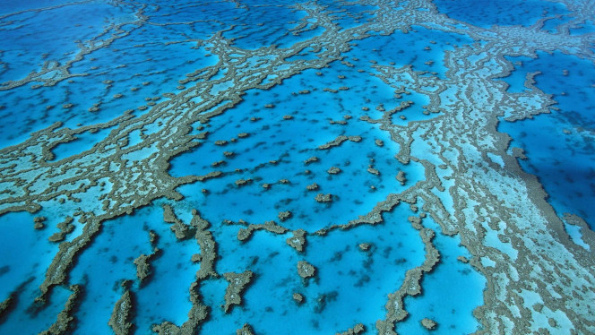 一张美味的图片 &middot; #1149