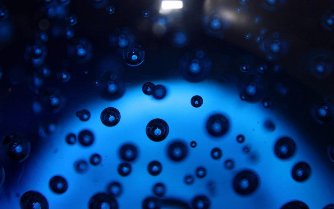 一张美味的图片 &middot; #58