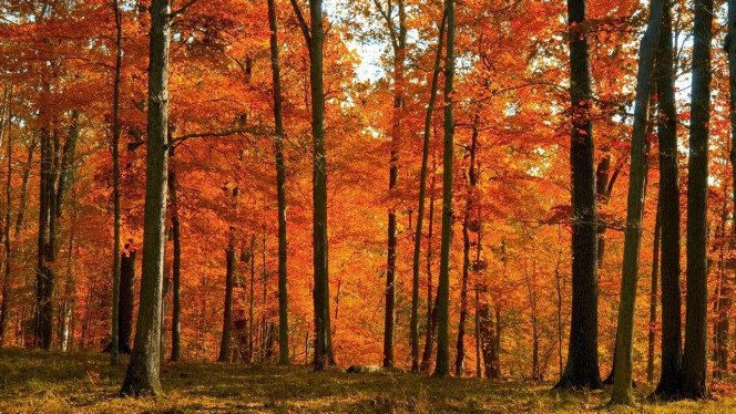 一张美味的图片 &middot; #4127