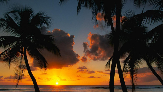 一张美味的图片 &middot; #4581