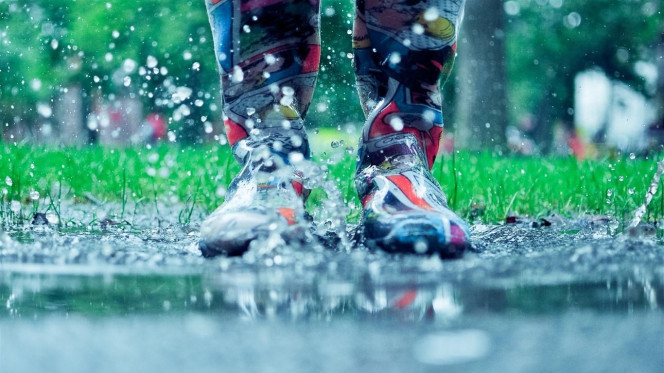 一张美味的图片 &middot; #2765