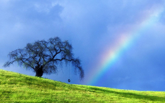 一张美味的图片 &middot; #2546