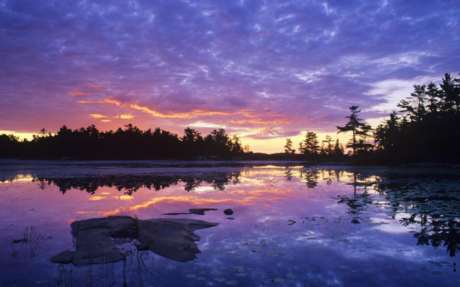 一张美味的图片 &middot; #1768