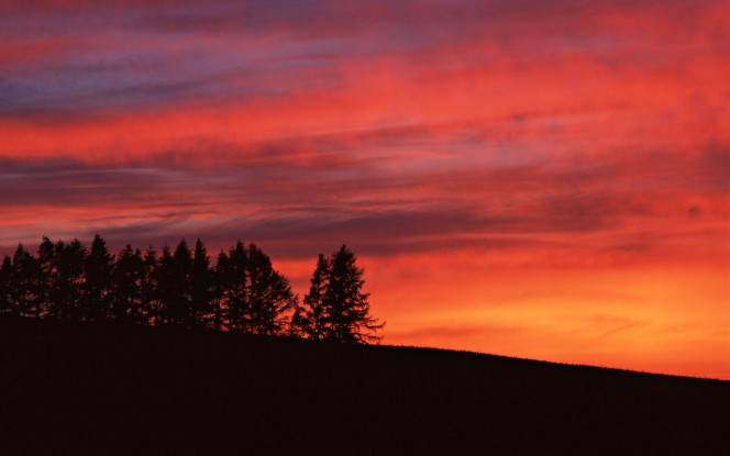 一张美味的图片 &middot; #2182