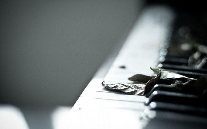 一张美味的图片 &middot; #2866