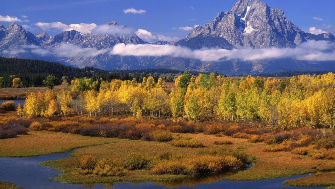 一张美味的图片 &middot; #4258