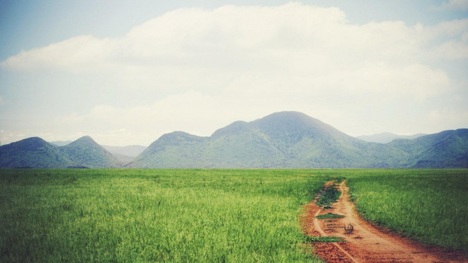 一张美味的图片 &middot; #106