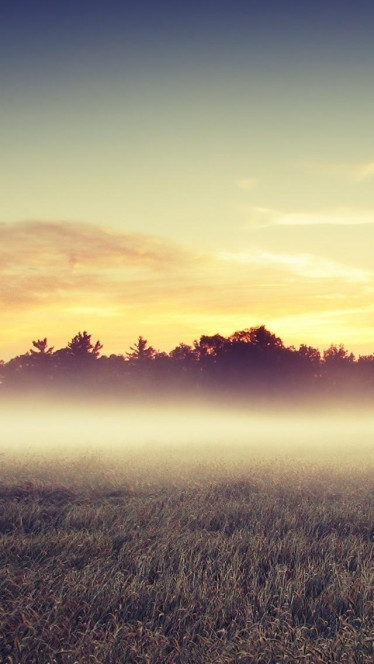 一张美味的图片 &middot; #172