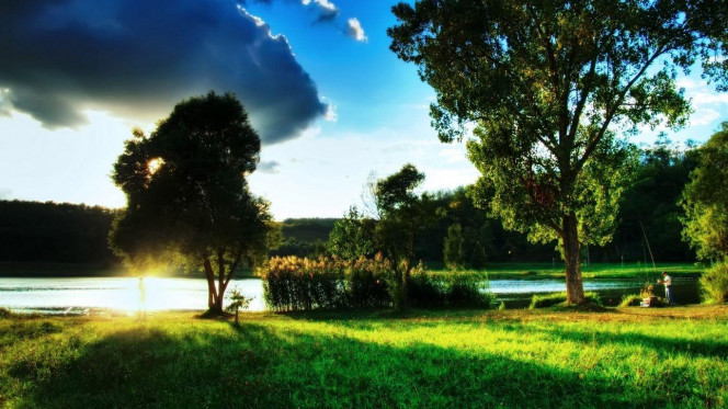 一张美味的图片 &middot; #2551