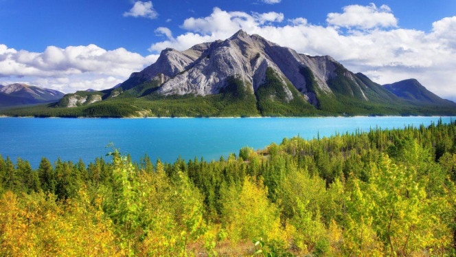 一张美味的图片 &middot; #4253