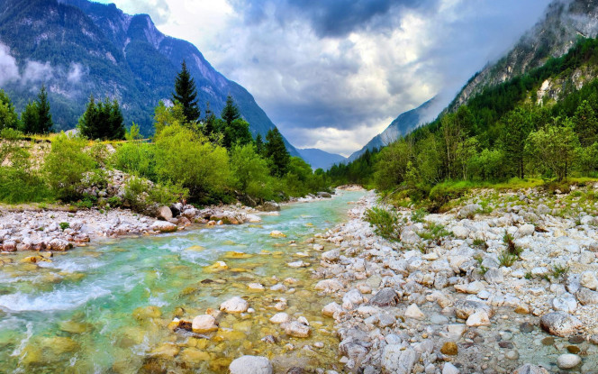 一张美味的图片 &middot; #677