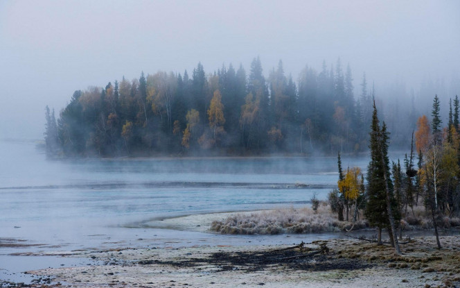 一张美味的图片 &middot; #1810