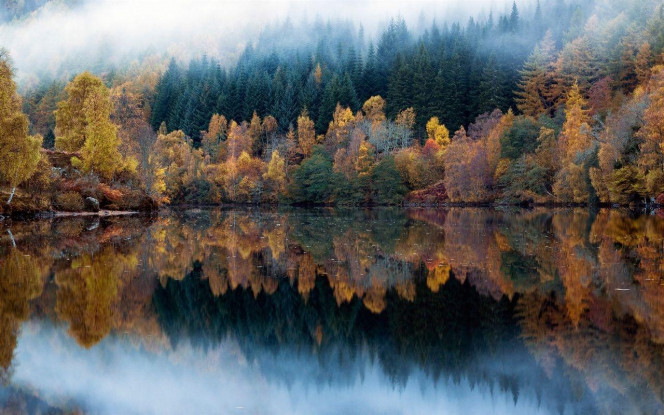 一张美味的图片 &middot; #4034