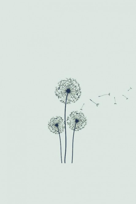 一张美味的图片 &middot; #310