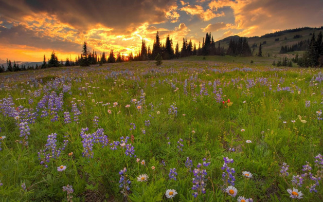 一张美味的图片 &middot; #1718