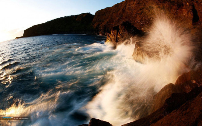 一张美味的图片 &middot; #2121