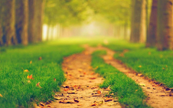 一张美味的图片 &middot; #3939