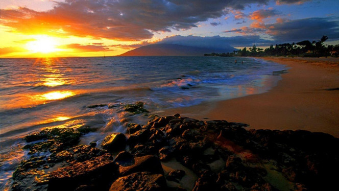 一张美味的图片 &middot; #3646