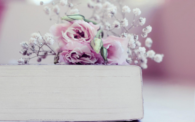 一张美味的图片 &middot; #4312