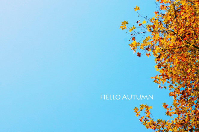 一张美味的图片 &middot; #328