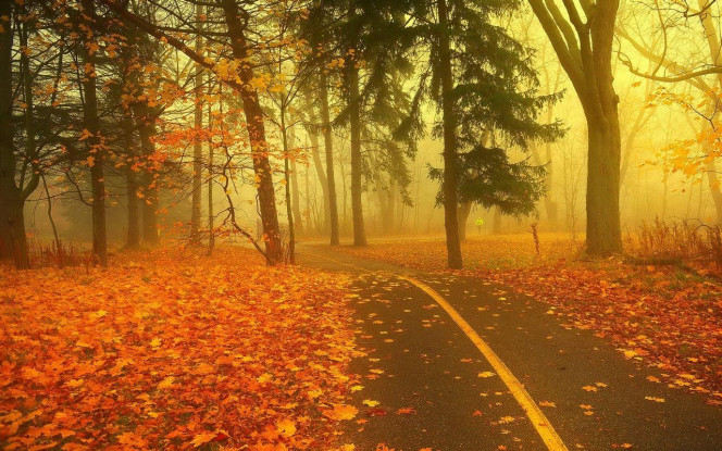 一张美味的图片 &middot; #4113