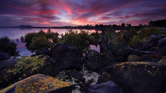 一张美味的图片 &middot; #4170