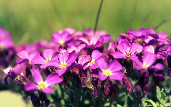 一张美味的图片 &middot; #4263