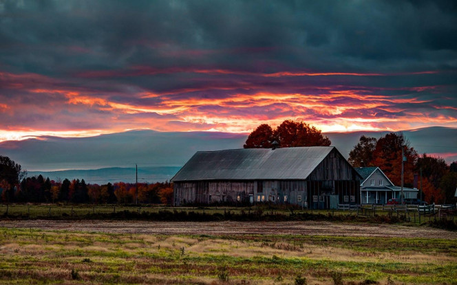 一张美味的图片 &middot; #2615