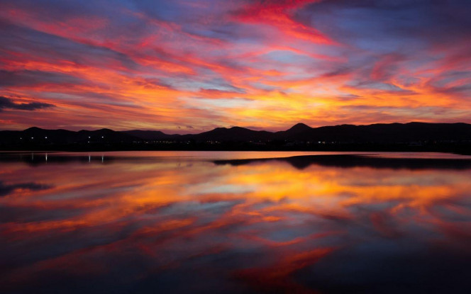 一张美味的图片 &middot; #3717