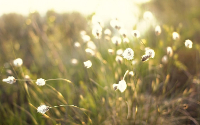 一张美味的图片 &middot; #1144