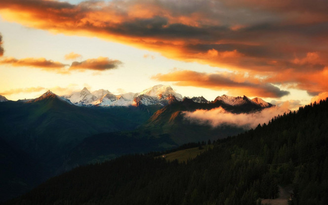 一张美味的图片 &middot; #1962