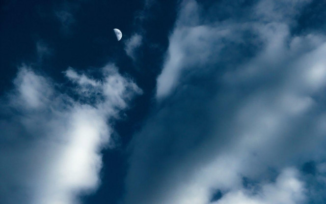 一张美味的图片 &middot; #2306