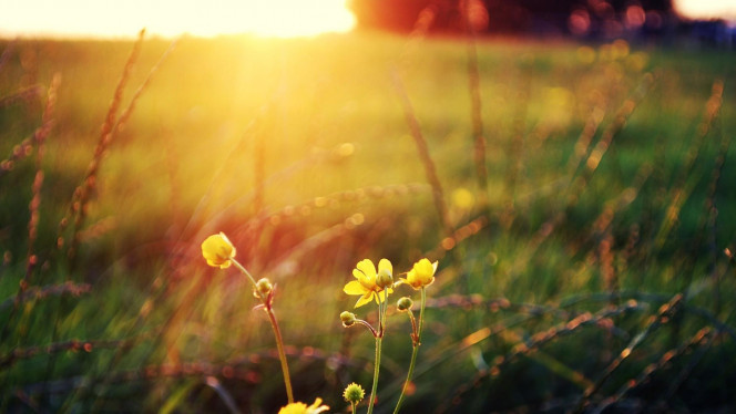 一张美味的图片 &middot; #2337