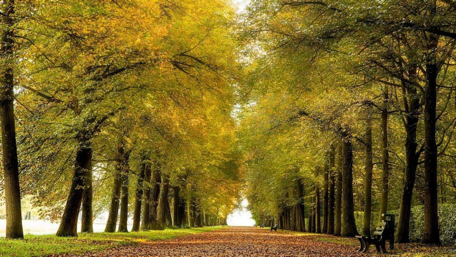 一张美味的图片 &middot; #2941