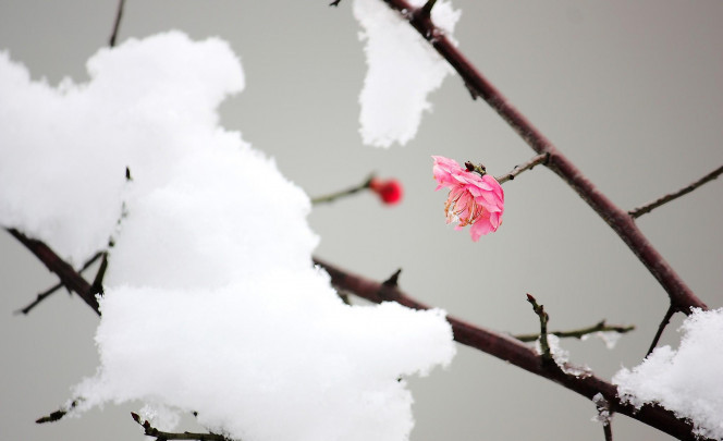 一张美味的图片 &middot; #1413