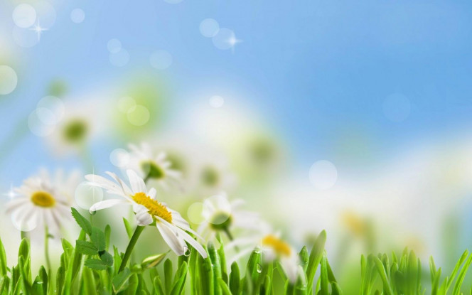 一张美味的图片 &middot; #3261